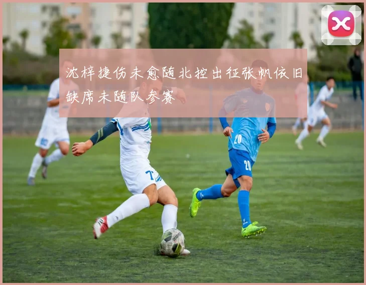 沈梓捷伤未愈随北控出征张帆依旧缺席未随队参赛