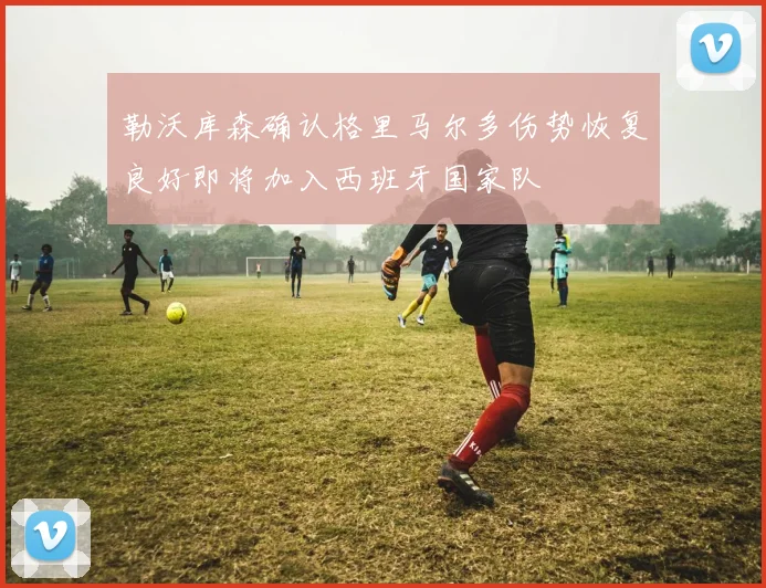 勒沃库森确认格里马尔多伤势恢复良好即将加入西班牙国家队