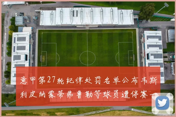 意甲第27轮纪律处罚名单公布韦斯利皮纳蒙蒂弗鲁勒等球员遭停赛一轮