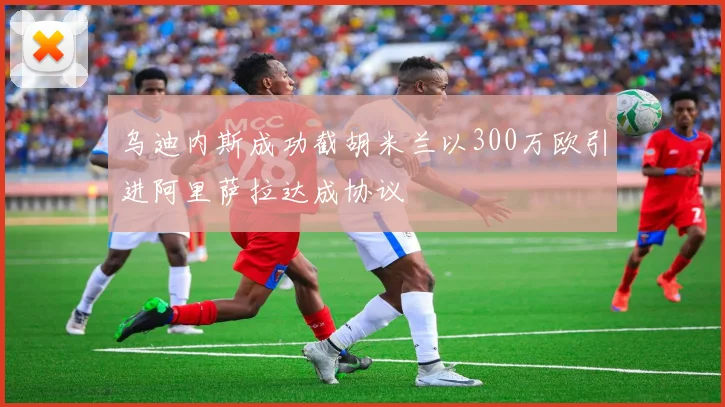 乌迪内斯成功截胡米兰以300万欧引进阿里萨拉达成协议